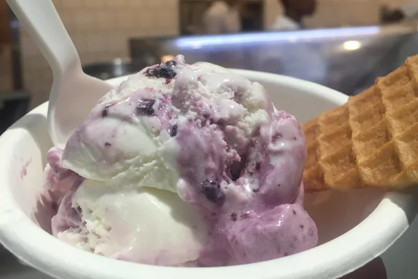 jenis-ice-cream-bowl | 950 Battery Ave SE Suite 1200, Atlanta, GA 30339