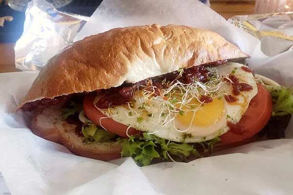 Sandwich with egg, tomato, lettuce, sprouts, and more | 351 N Hull St, Athens, GA 30601